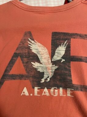 American Eagle Outfitters Coral Short-Sleeve Logo Tee 100% graphic on back